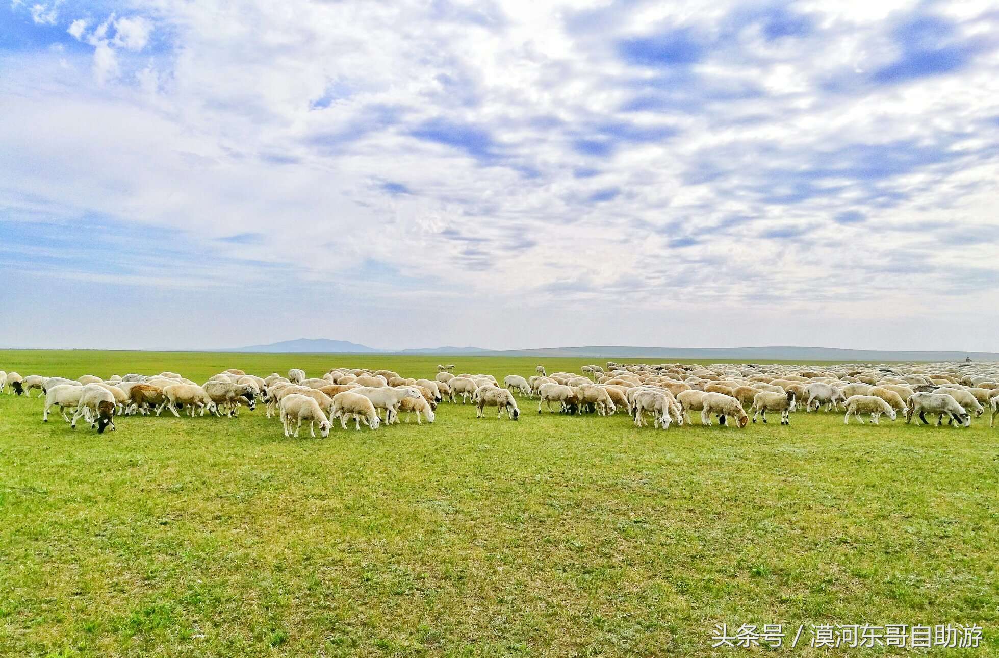 呼伦贝尔漠河旅游攻略夏季,漠河呼伦贝尔阿尔山10日游攻略