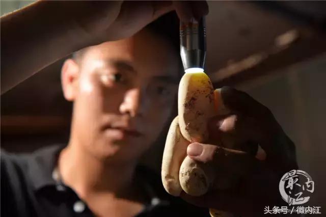 内江帅小伙牛了不仅养蛇还养鳄鱼！