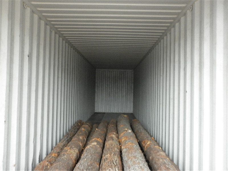 巴西第七天，松木堆场，检尺装柜