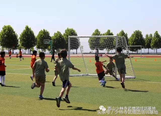 暑假去少林寺学功夫,暑假去衡东少林文武学校