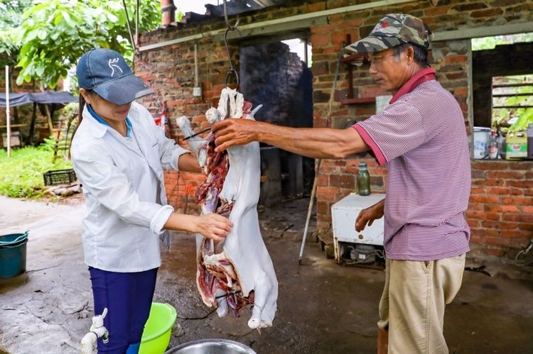 全国各地烤全羊,万人吃烤全羊