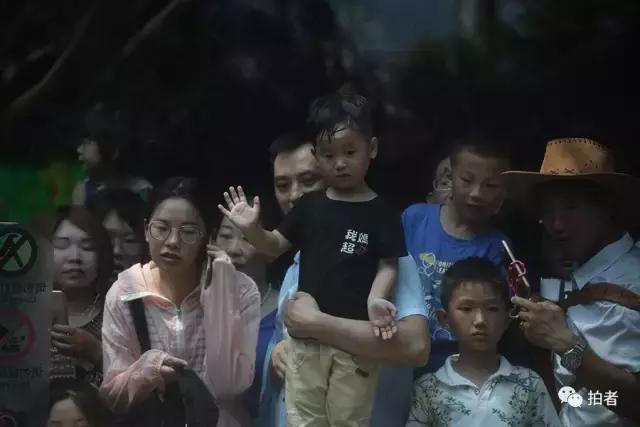 热浪来袭动物园的动物们这样消暑,热浪侵袭动物园居民各出奇招解暑