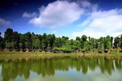 为你正名,自贡到底是啥