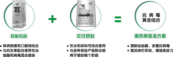 中兽药治猪病的方法,猪用免疫多肽