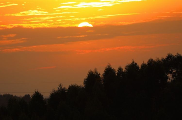 全国各地烤全羊,万人吃烤全羊