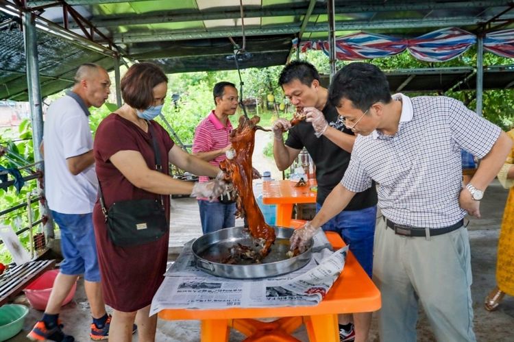 全国各地烤全羊,万人吃烤全羊