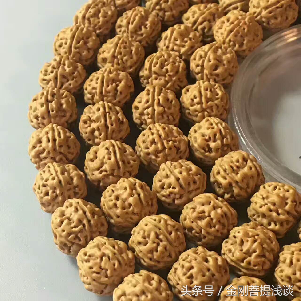 金刚菩提纹路里反碱,六瓣雪花金刚菩提纹路