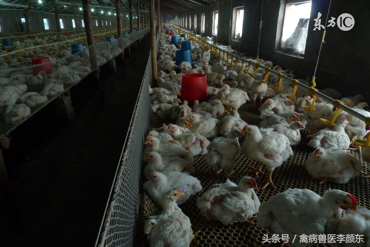 养殖等于闯关、这些关你闯过去了吗？