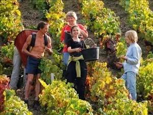 教你怎么在法国坚强的活下去