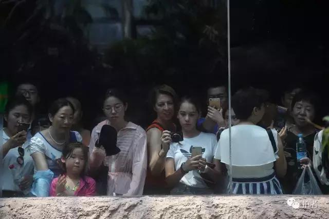 热浪来袭动物园的动物们这样消暑,热浪侵袭动物园居民各出奇招解暑