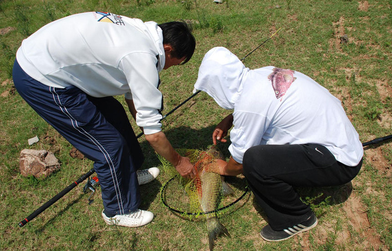 打窝子后怎么钓鱼最好,窝子打了没有鱼