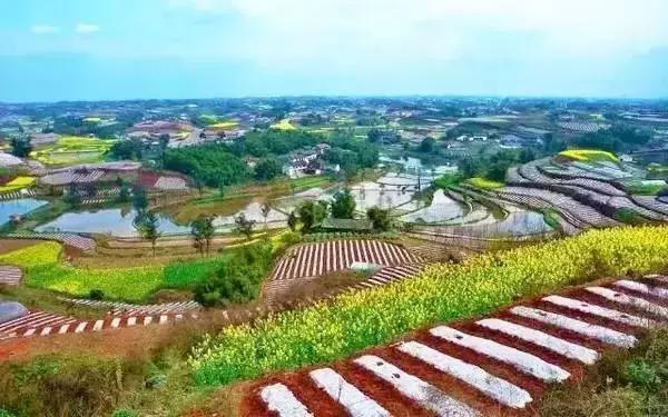 为你正名,自贡到底是啥