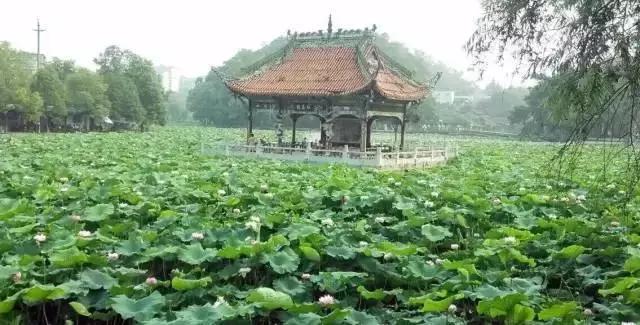 为你正名,自贡到底是啥