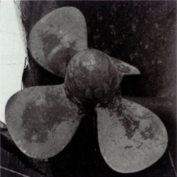 中国第一次远征南极是什么时候,曾经侵略过中国海岛的国家