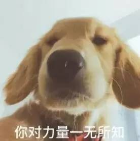 用一句话形容你们哪里非常热,请用一句话证明你很热