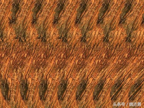 心理减压画画,减压静心的画