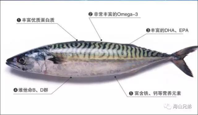 这日本流行很久的挪威鲭鱼，现在来到了中国！