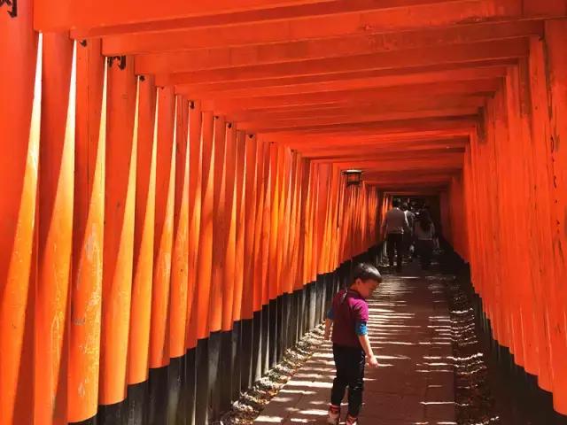 日本带孩子自由行穷游攻略,日本大阪带娃5日游都去哪