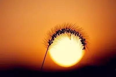 夏天是除体内寒湿最佳时间吗,夏天是祛寒湿气最好的时期