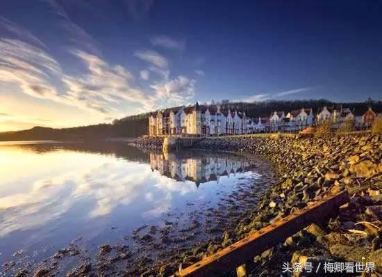 品味生命之美歌曲,生命之水感悟