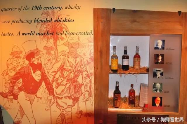 品味生命之美歌曲,生命之水感悟