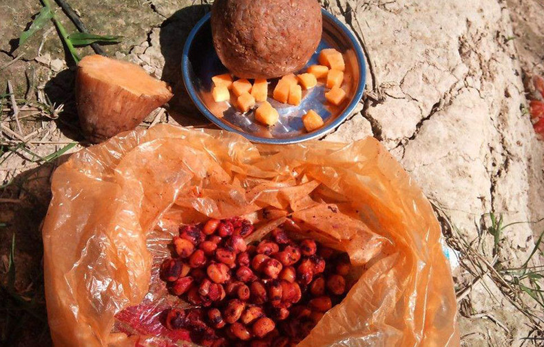 打窝子后怎么钓鱼最好,窝子打了没有鱼