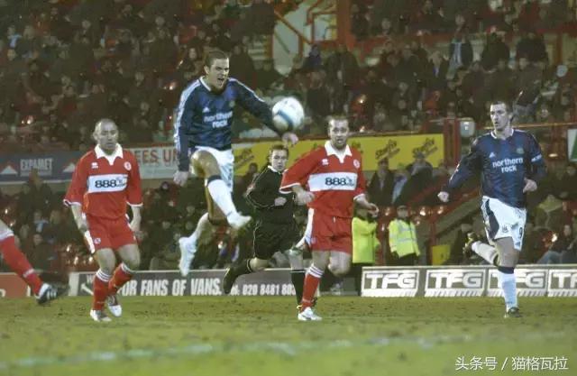 类似摔跤吧爸爸题材的电影有哪些,摔跤吧爸爸唯一能把我燃哭的电影