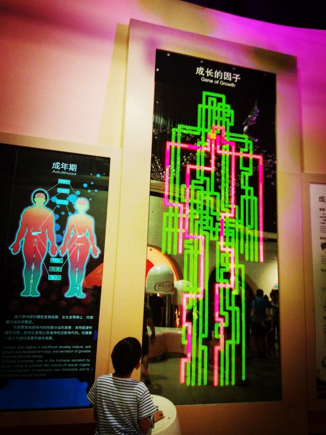 暑假亲子游北京攻略路线怎么走,暑假旅游攻略北京推荐3到4天