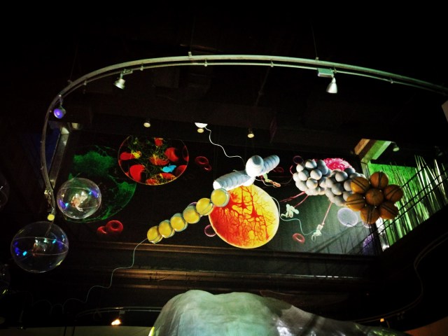 暑假亲子游北京攻略路线怎么走,暑假旅游攻略北京推荐3到4天