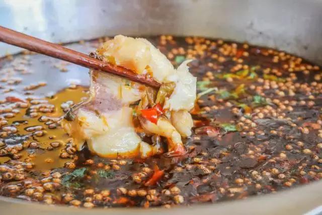 14年了，它在成都找不到对手