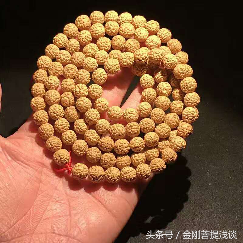 金刚菩提纹路里反碱,六瓣雪花金刚菩提纹路