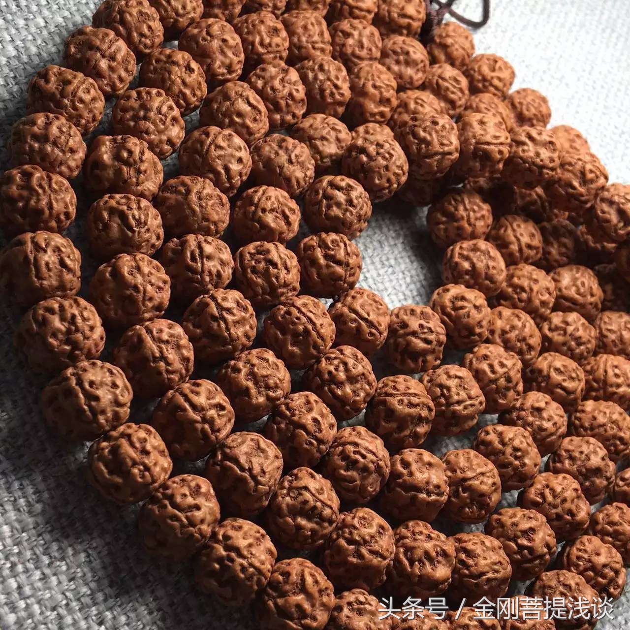 金刚菩提纹路里反碱,六瓣雪花金刚菩提纹路