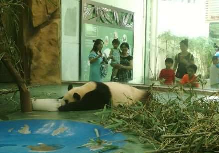 用一句话形容你们哪里非常热,请用一句话证明你很热