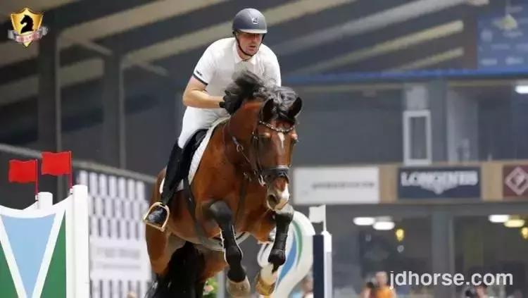 马术联赛总决赛,2019马术比赛鸟巢之路