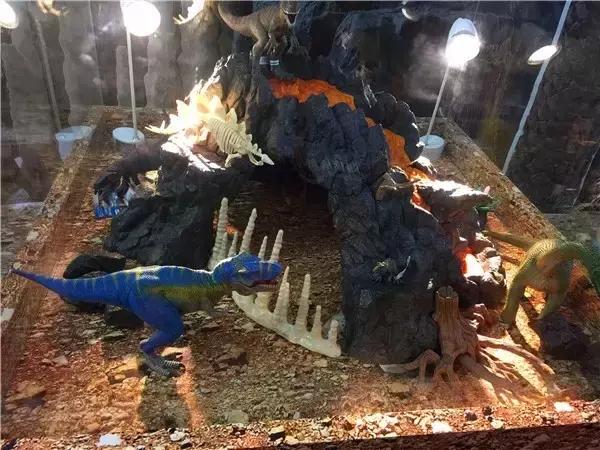 粑粑麻麻带娃去哪里玩,粑粑麻麻带娃去旅行