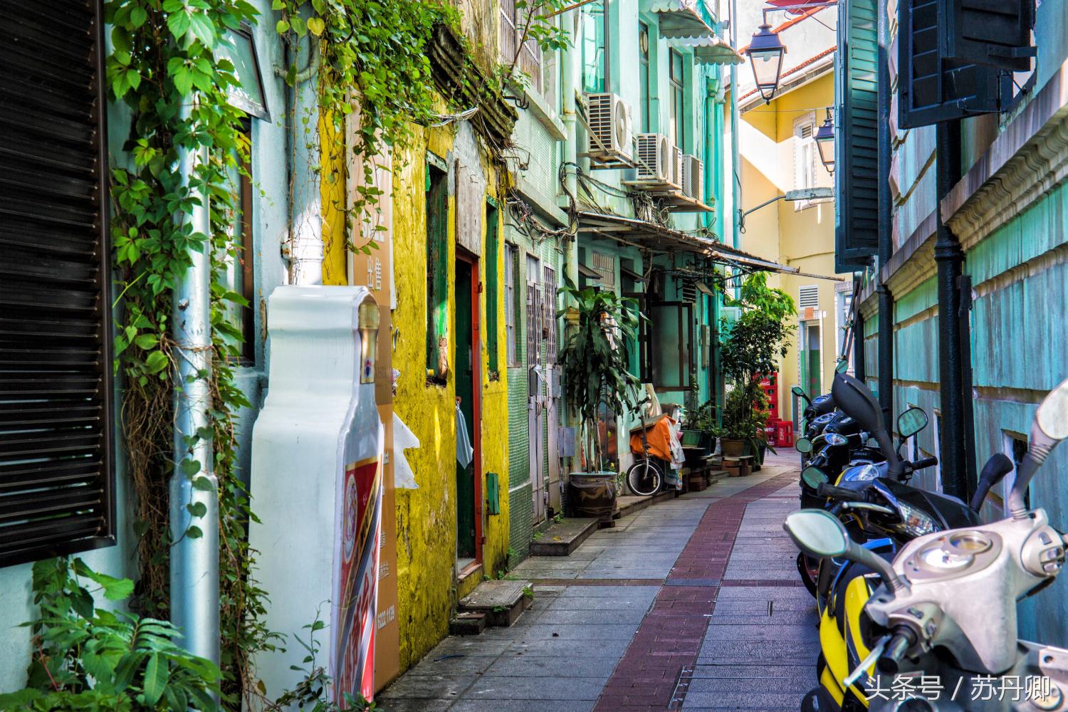 澳门赌城旅游详解,澳门赌场一日游攻略