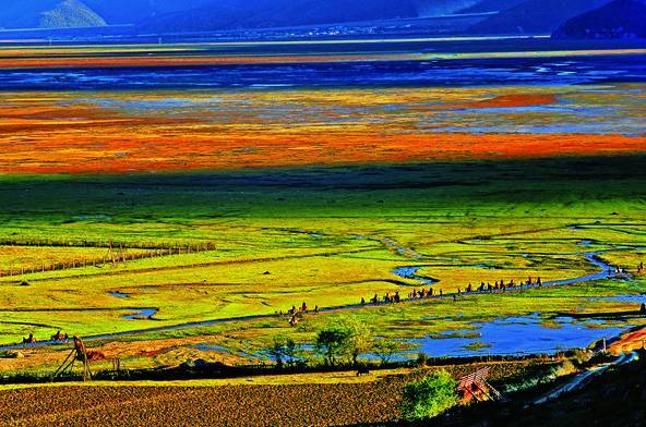 去云南玩两天攻略怎么玩好一点 (云南旅游自由行攻略7天路线推荐)