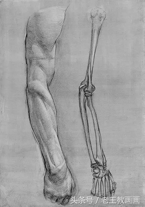 教100个零基础画画小白,零基础自学绘画入门书