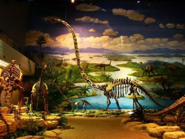 为你正名,自贡到底是啥