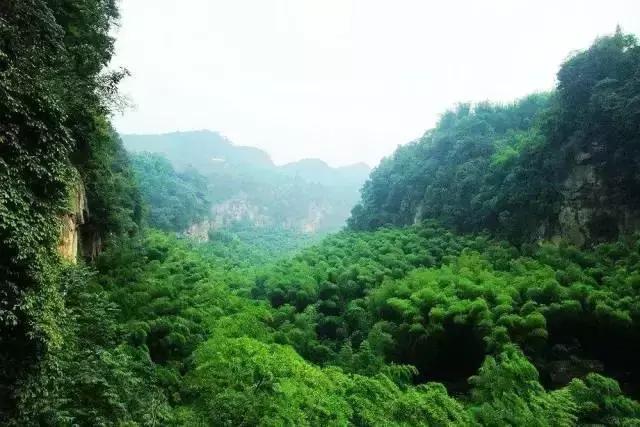 为你正名,自贡到底是啥