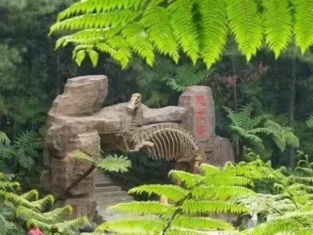 为你正名,自贡到底是啥