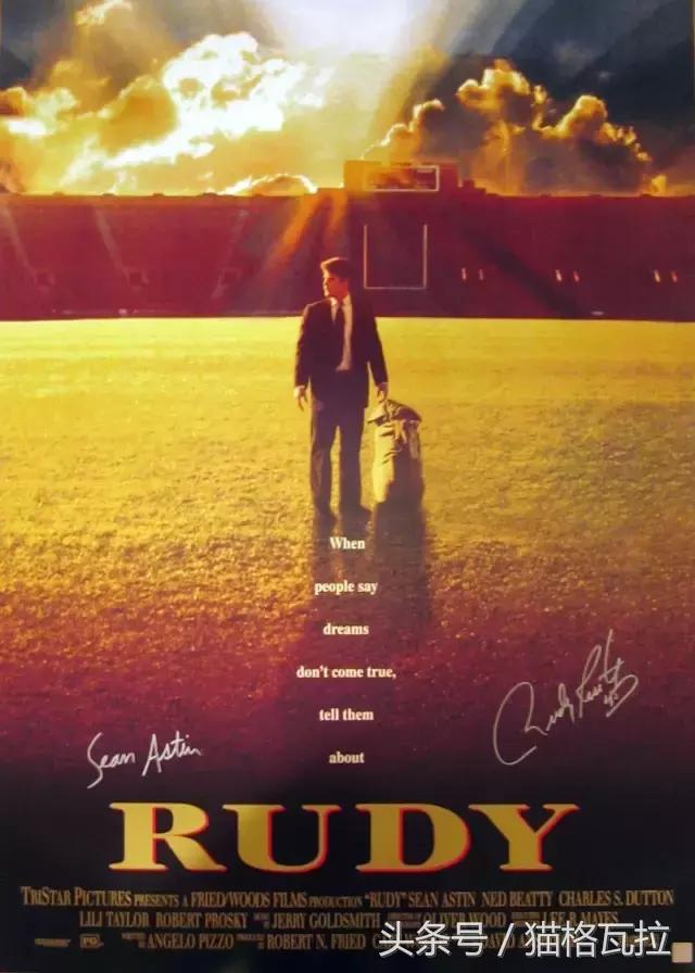 类似摔跤吧爸爸题材的电影有哪些,摔跤吧爸爸唯一能把我燃哭的电影