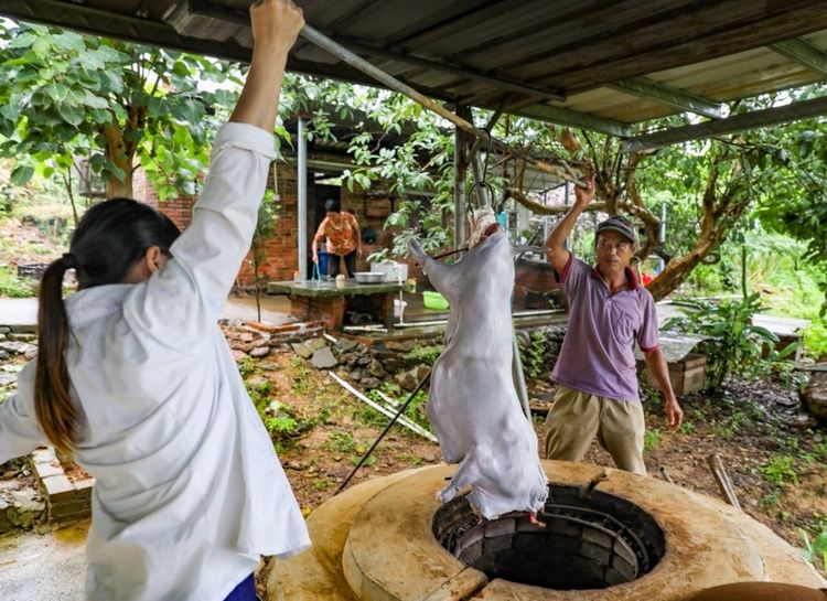 全国各地烤全羊,万人吃烤全羊