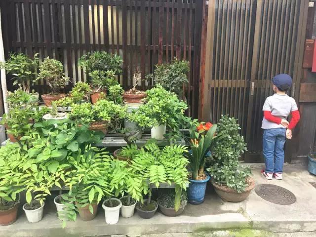 日本带孩子自由行穷游攻略,日本大阪带娃5日游都去哪