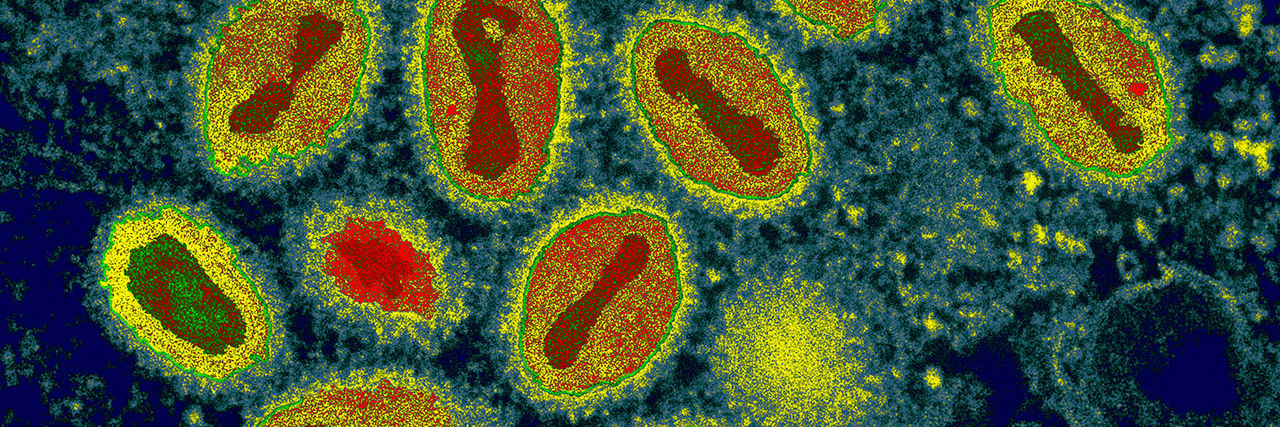 北大学报刊载能量医学研究：能量医学开启生命科学的第三次革命