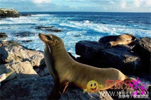 京津冀农家院详细攻略,紫塞大钦岛伟浩渔家乐