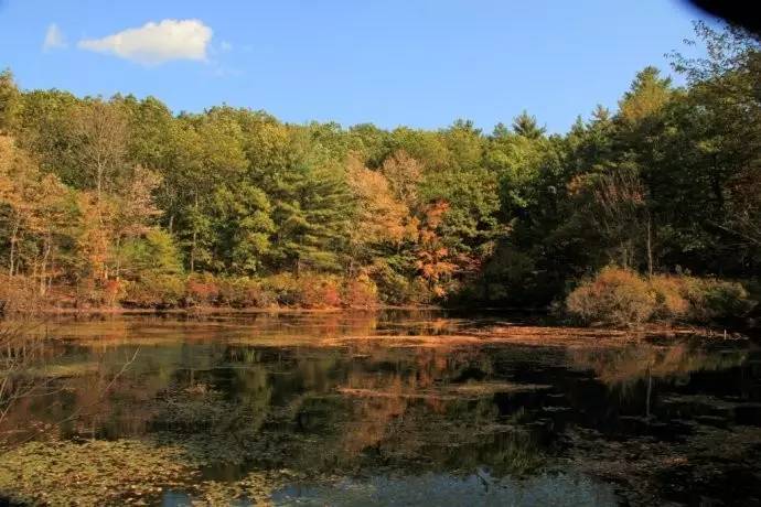 给你肉身却给不了你的灵魂,给我你的灵魂英文