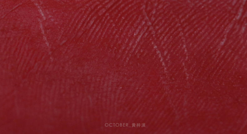 经典的mac宣传语,mac口红日常