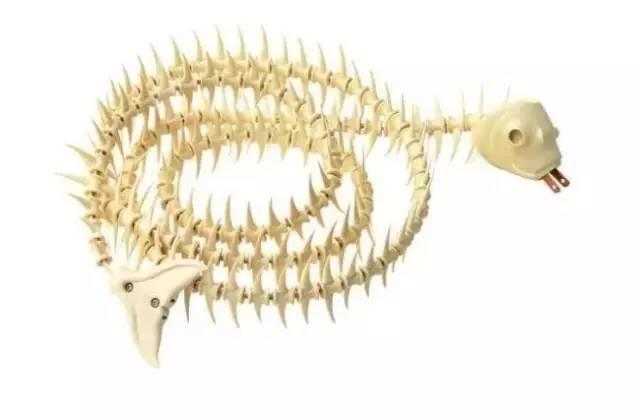 天舞笛音：爱你，才要守护你——致生命力中的“Maker”！