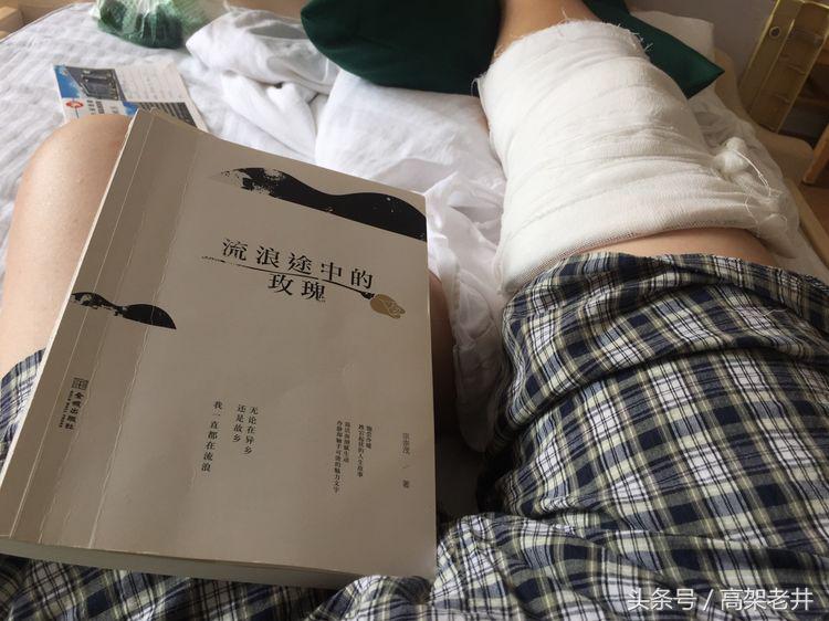 流浪的玫瑰,流浪的玫瑰歌曲